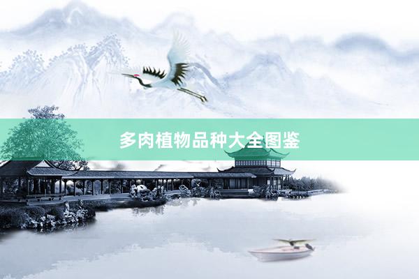 多肉植物品种大全图鉴