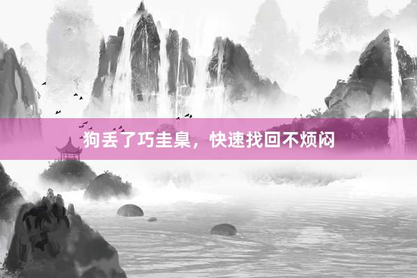 狗丢了巧圭臬，快速找回不烦闷