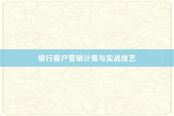 银行客户营销计策与实战技艺